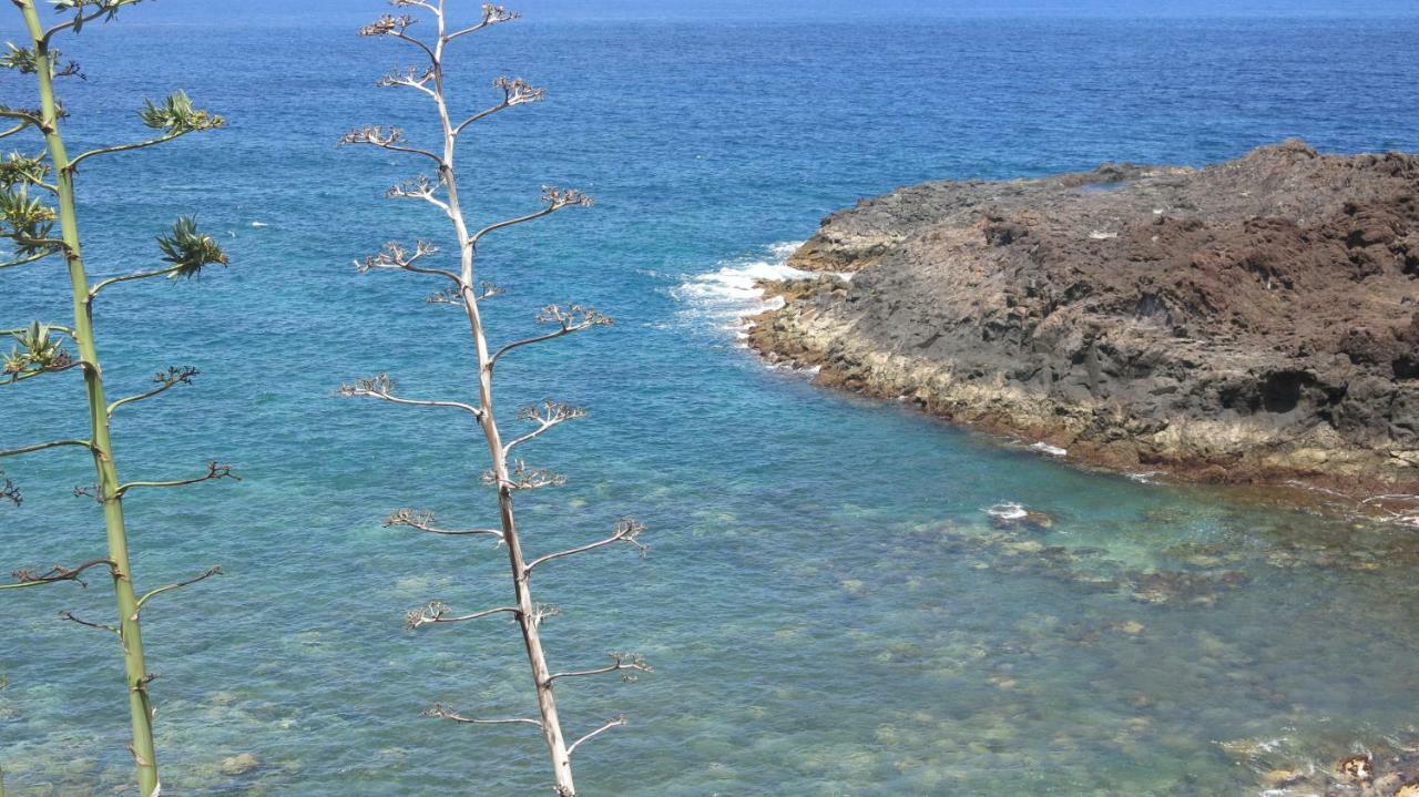 El Roque 205 - Sustainability Off The Beaten Track Tacoronte Εξωτερικό φωτογραφία